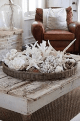 Seashells… Beauty in the home 6 image 71