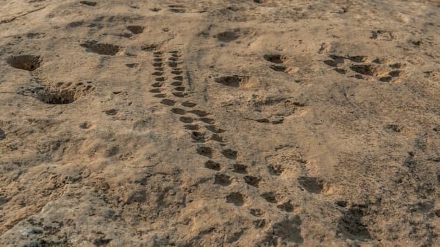 The mysterious symbols found carved in Qatar’s deserts 9 http cdn.cnn .com cnnnext dam assets 211116125759 jassasiya 3 1