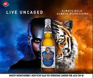 tiger beer 300x250 1