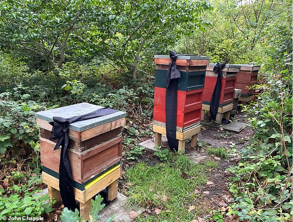 Beekeeper 2