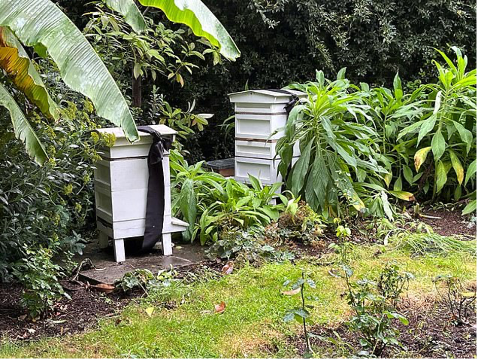 Beekeeper 3