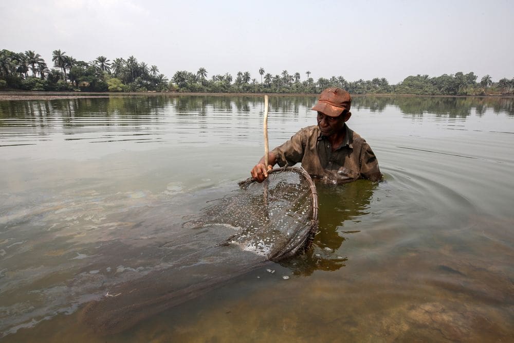 Ogoni: One of world’s most polluted spots gets worse as $1b cleanup drags on 13 Ogoni 10