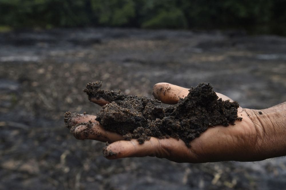 Ogoni: One of world’s most polluted spots gets worse as $1b cleanup drags on 14 Ogoni 11