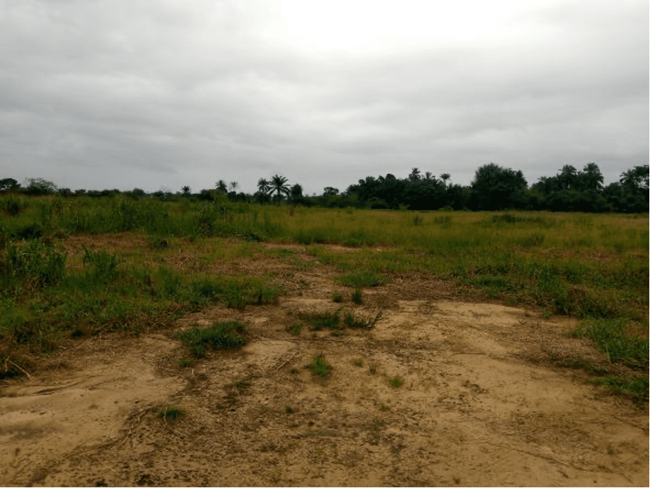 Ogoni Oil Spill: Floundering Clean-up roadmap and tales of anguish of oil communities 7 Ogoni 3