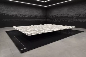 60th Venice Biennale... Nigeria listed among 10 best national pavilions 17 Autralia