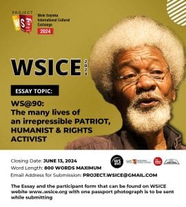 WSICE 2024