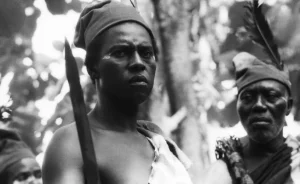 50 years of 'Things Fall Apart' the film… screening, exhibitions hold in Atlanta, Feb 20 18 Things Fall apart 2