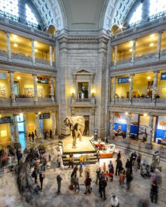 Smithsonian 3